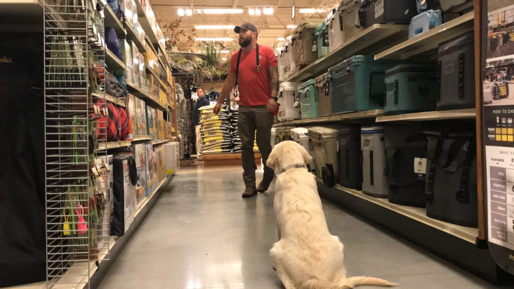 Dog Trainers in EZ Elder Law