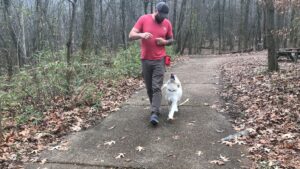 Georgia Dog Trainer.