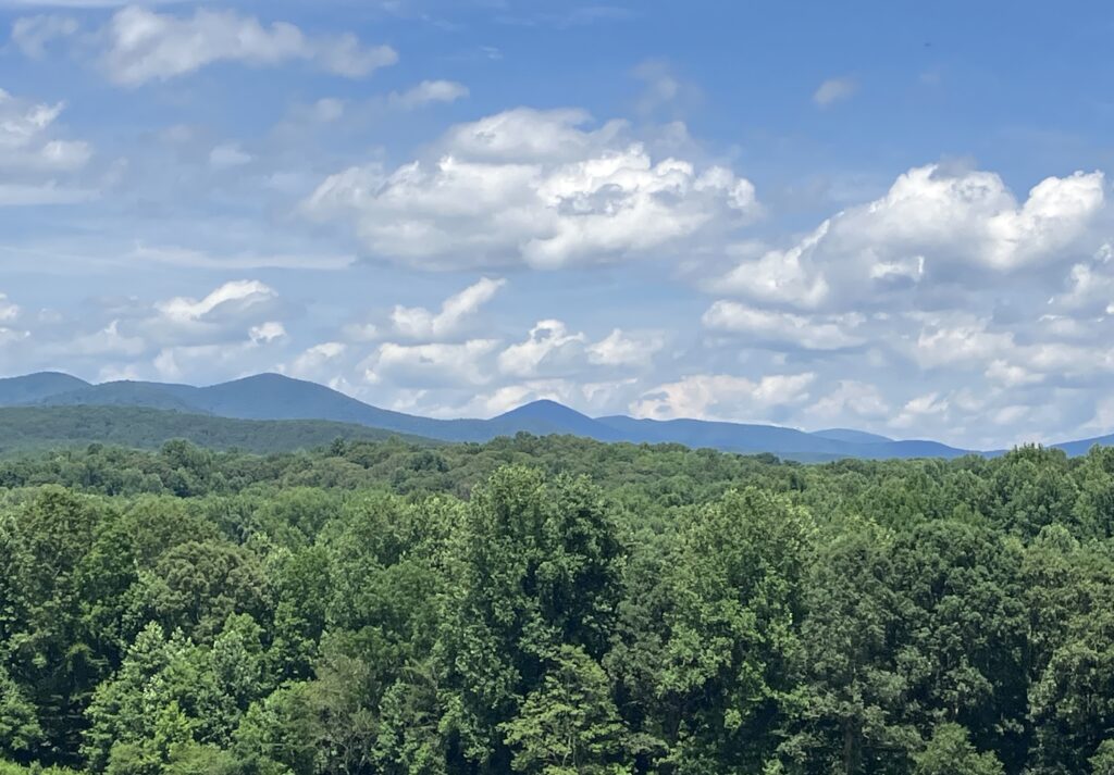 Prerequisite findings prior to appointment of emergency guardian; evaluation; notice; hearing; O.C.G.A. § 29-4-15