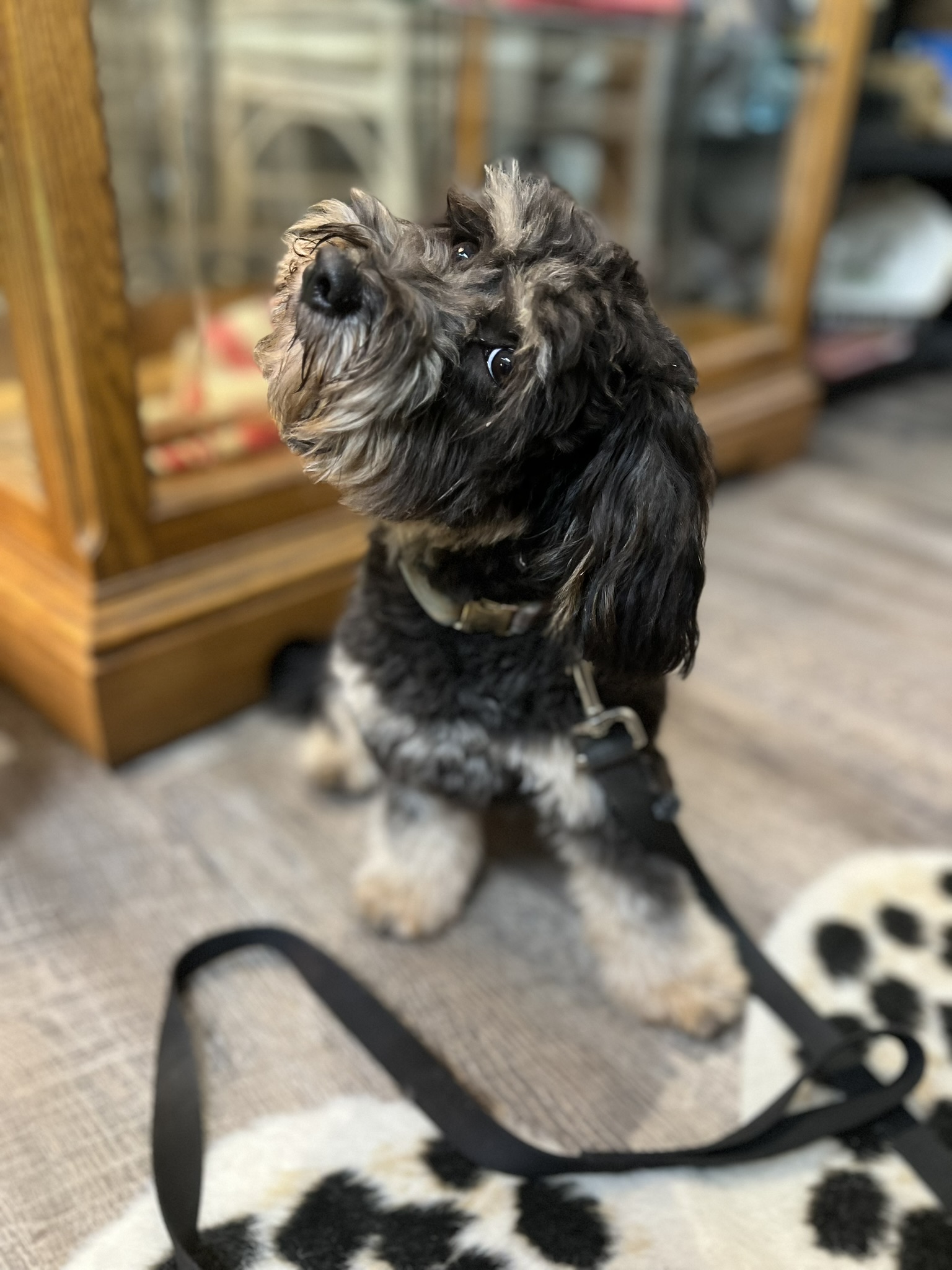 Beneficiary who accepted inheritance under Will could not bring action