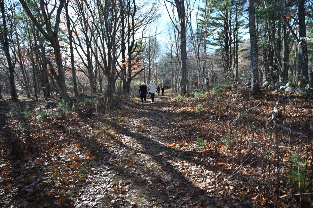 Rights of the ward; impact on voting and testamentary capacity; O.C.G.A. § 29-4-20