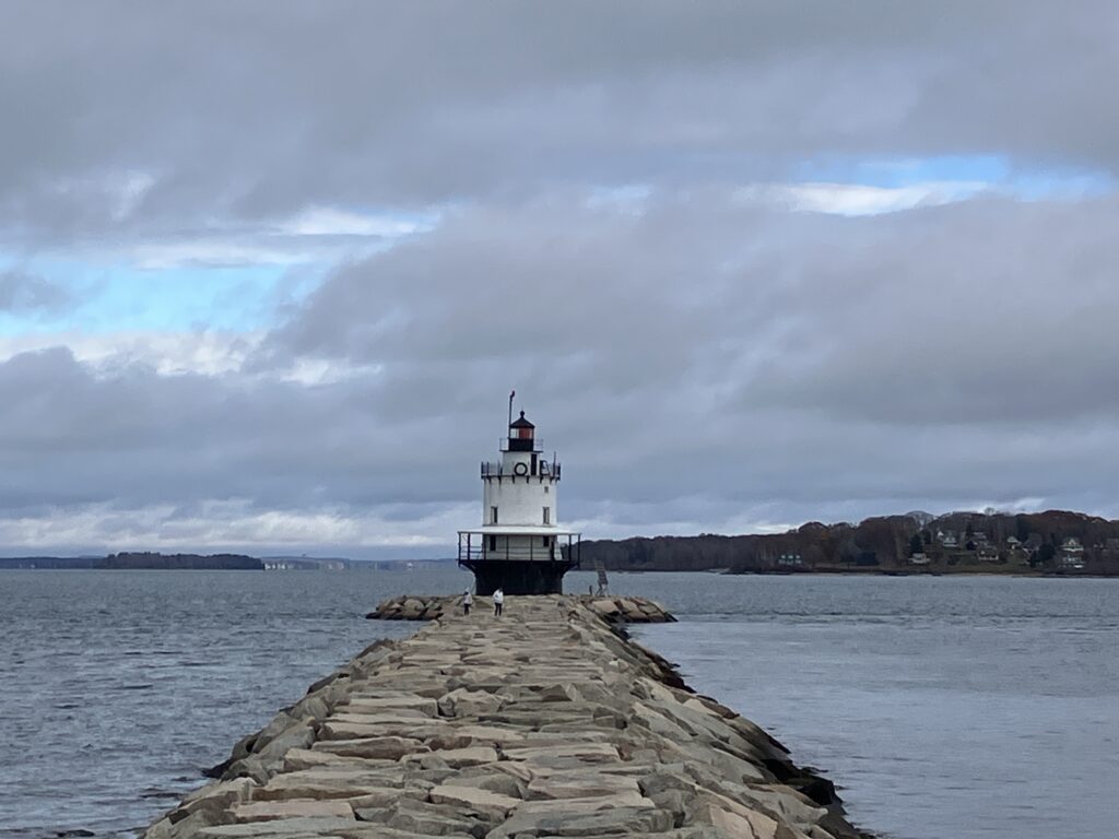 Temporary medical consent guardianship; O.C.G.A. § 29-4-18